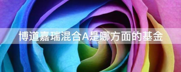 博道嘉瑞混合A是哪方面的基金