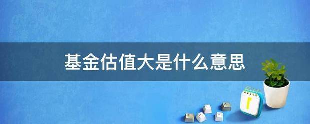 基金估值大是什么意思