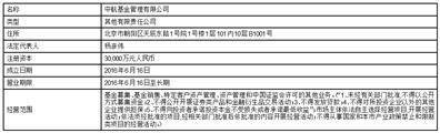 嘉实基金管理有限公司关于 嘉实京东仓储物流 封闭式基础设施证券投资基金战略配售投资者之专项核查报告