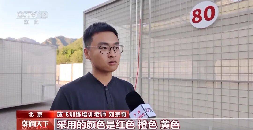 明天将放飞8万羽和平鸽、8万只气球<strong></p>
<p>shib</strong>，揭秘！