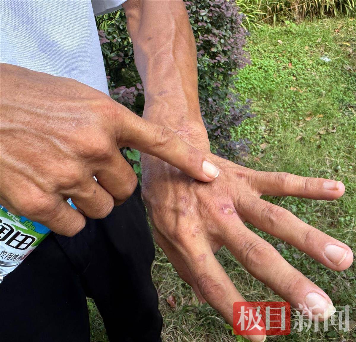 “鸡排哥”赚得盆满钵满购置多套房产？当事人幽默回应：还没到一个亿<strong></p>
<p>tp钱包下载</strong>，你多来，我才能多卖2份