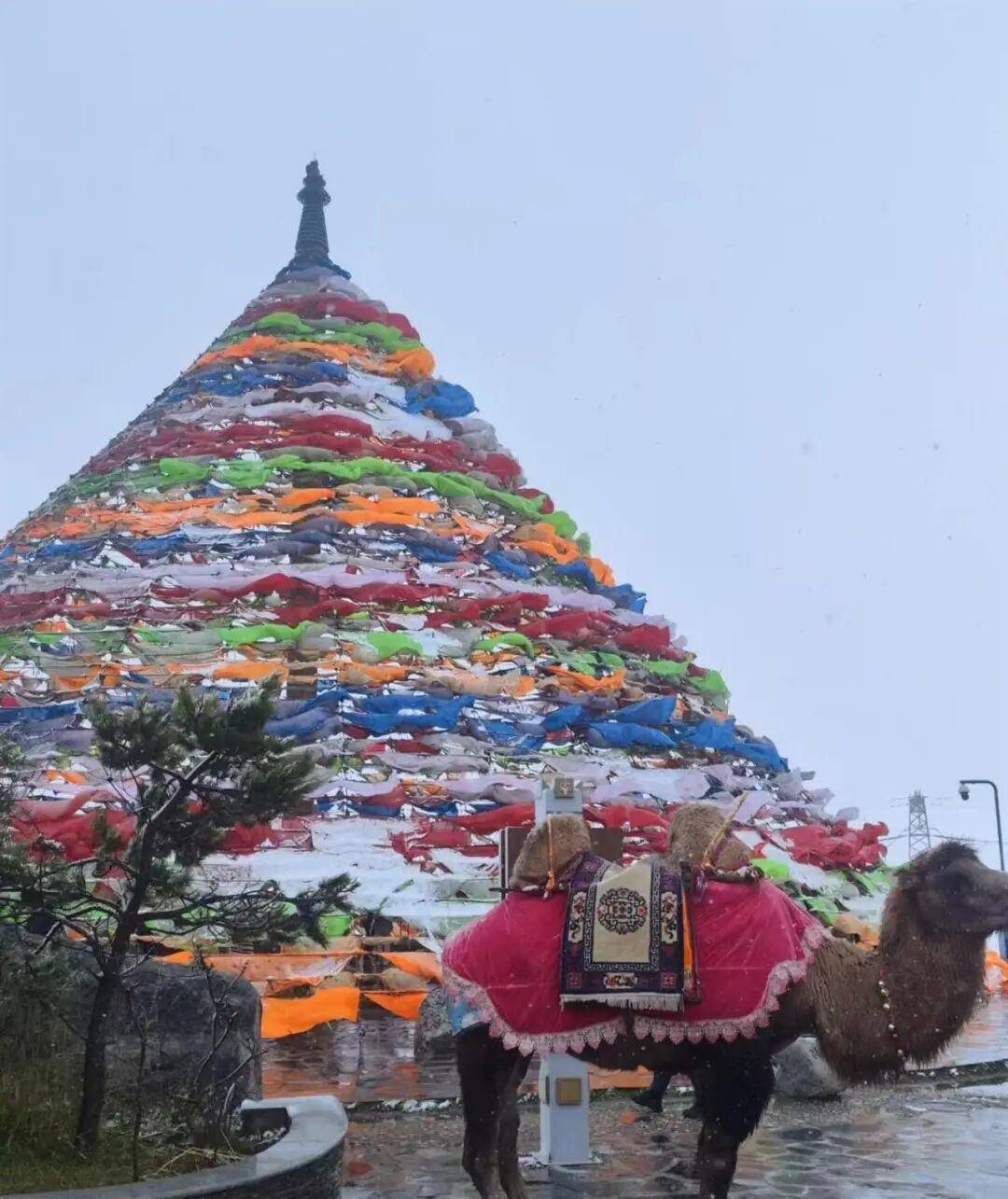 多地突降大雪<strong></p>
<p>tp钱包下载</strong>！