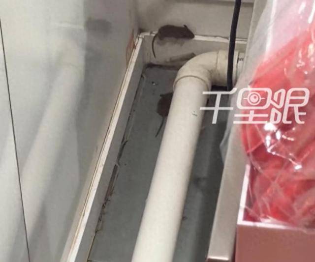 网曝蜜雪冰城一门店有多只老鼠横行<strong></p>
<p>tp钱包下载</strong>，涉事门店员工回应
