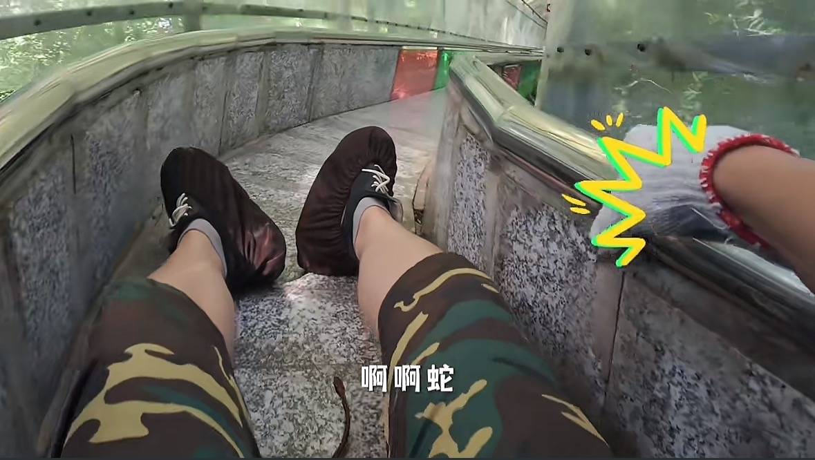 游客称在广西丹炉山滑道遇蛇<strong></p>
<p>tp钱包最新版本下载</strong>，景区致歉：这么多年就这一次，每年都做防蛇处理