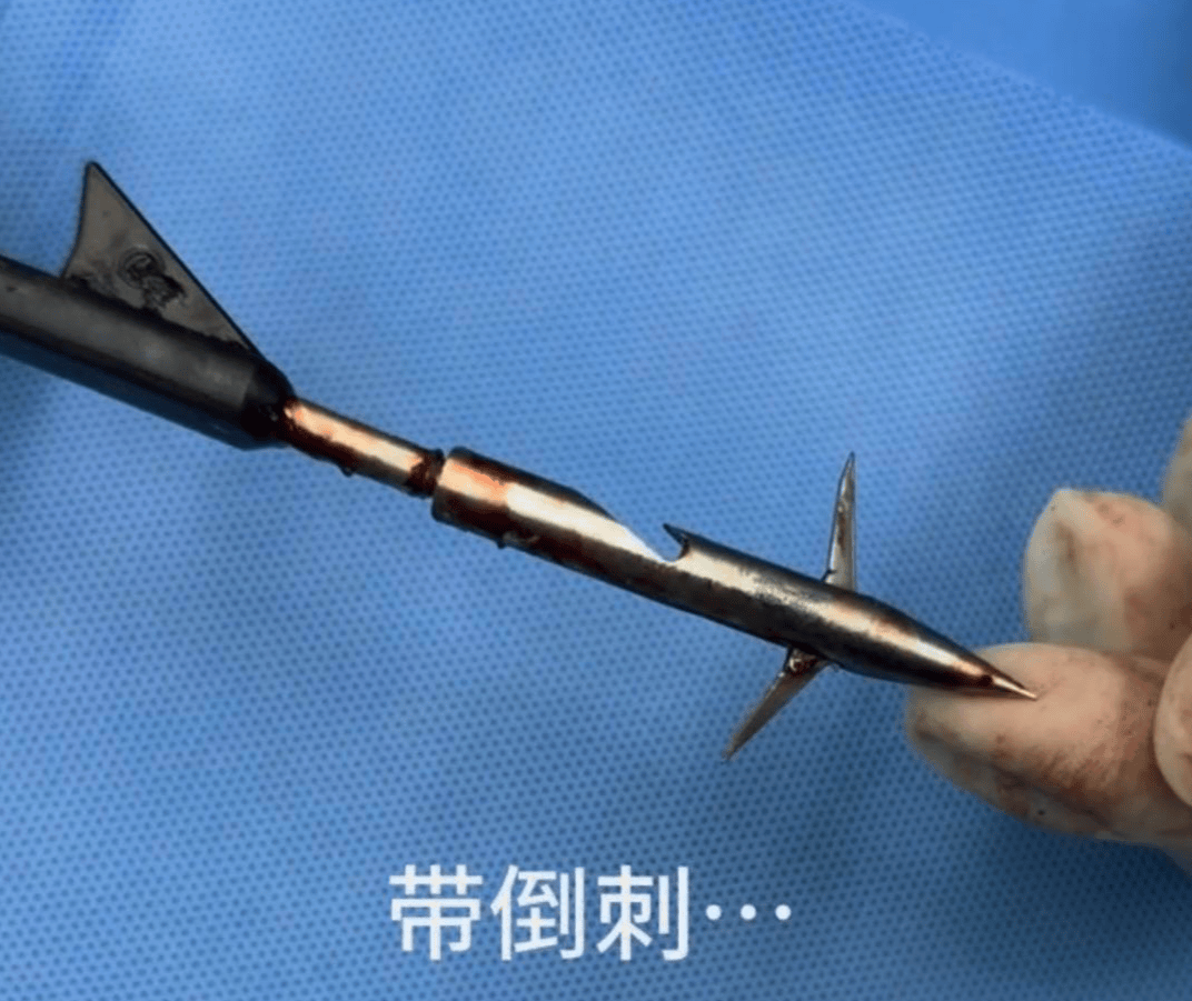 教育局回应“一教师用弓箭射杀小狗”：不实<strong></p>
<p>tp钱包是正规平台吗</strong>，小狗进学校前就被射伤