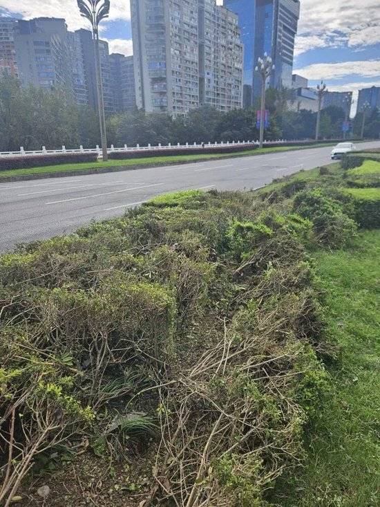 小米汽车失控起火司机遇难<strong></p>
<p>tp钱包官方网站</strong>，目击者称车速150km/h，实探事故地：燃烧留下的印记仍在