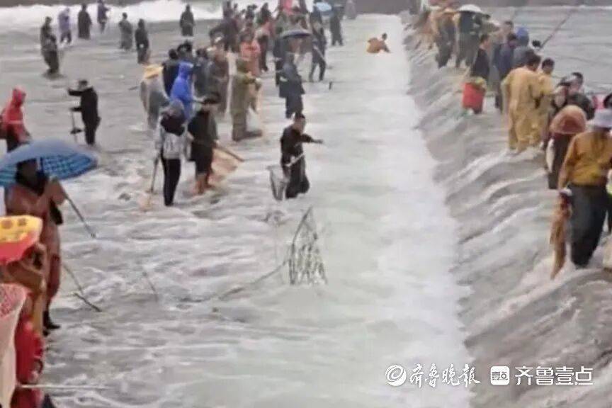 “鱼多得数不过来<strong></p>
<p>tp钱包怎么下载</strong>，一网子下去能捞好几条”济南锦绣川水库开闸放水，大量鲢鱼被冲出，工作人员：禁止捕捞！