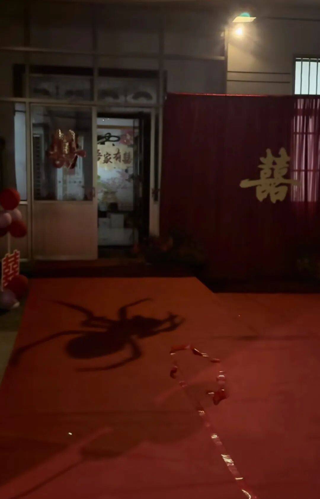 山东一新娘家凌晨出现巨大蜘蛛的倒影<strong></p>
<p>tp钱包在国内合法吗</strong>，拍摄者：蜘蛛爬在灯泡上，网友：这才是喜结连理