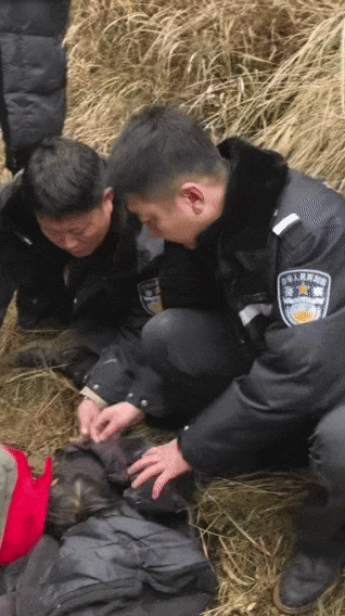 辽宁4岁女童称睡醒后自行下车<strong></p>
<p>tp钱包安全吗</strong>，迷路后睡在草地，期间无人接触；其母发声