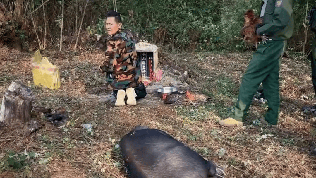公安机关侦破缅北果敢徐老发犯罪集团专案<strong></p>
<p>tp钱包安全吗</strong>，详情披露！
