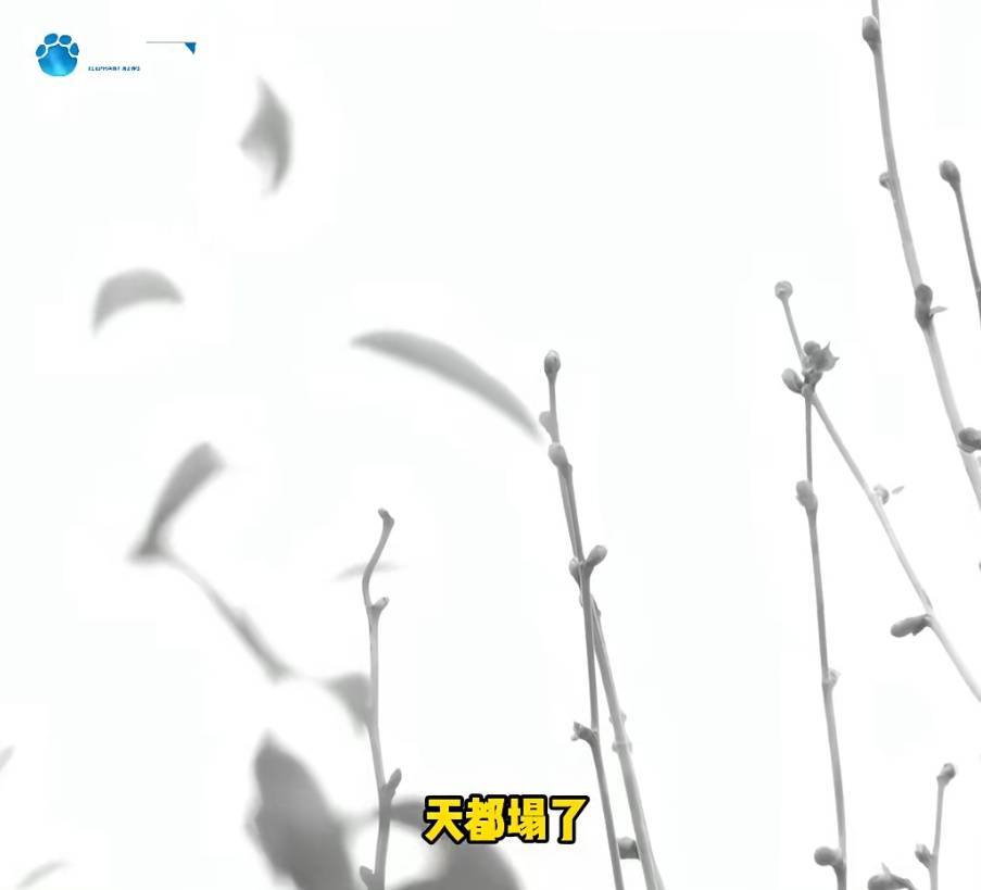 “天塌了<strong></p>
<p>trx app最新版本</strong>，我一生都毁了”，男子称养了20年才发现儿子非亲生！前妻坚决否认