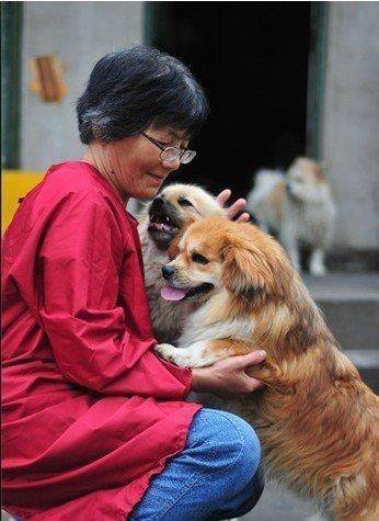 合肥卖房救助流浪狗的魏阿姨离世<strong></p>
<p>usdt钱包官方下载</strong>,病中仍然惦记着基地的600只流浪狗,工人:不敢相信世上还有这样执着的人