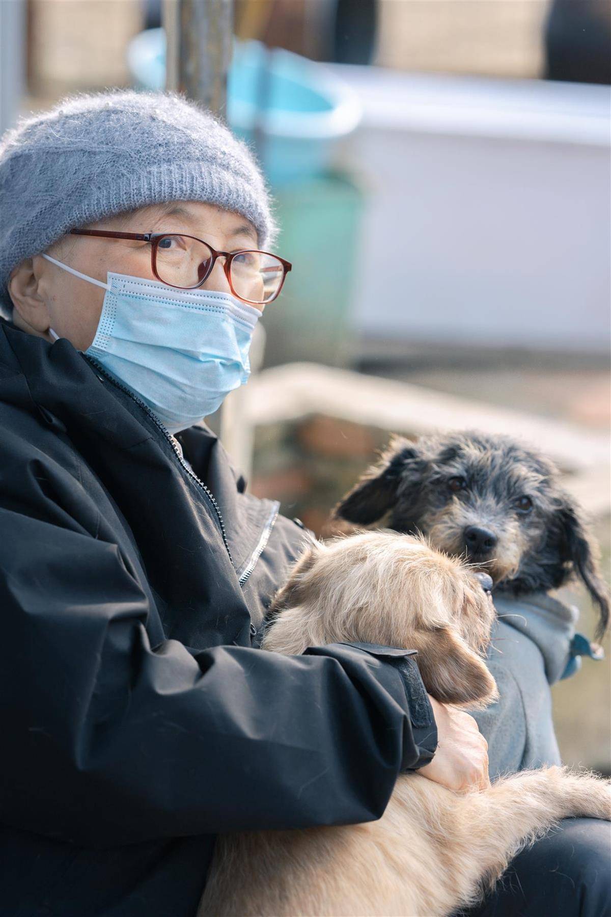 合肥卖房救助流浪狗的魏阿姨离世<strong></p>
<p>usdt钱包官方下载</strong>,病中仍然惦记着基地的600只流浪狗,工人:不敢相信世上还有这样执着的人