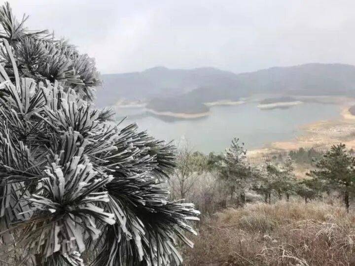 禁止任何形式穿越<strong></p>
<p>usdt交易平台</strong>！杭州一地发布最严禁令