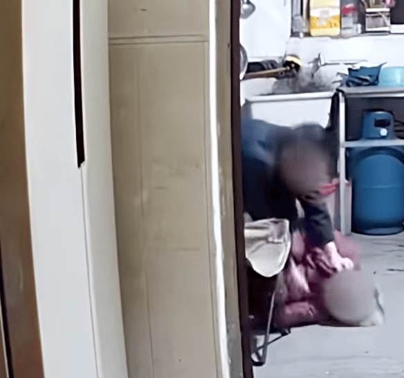 儿子杨某中，已被抓获