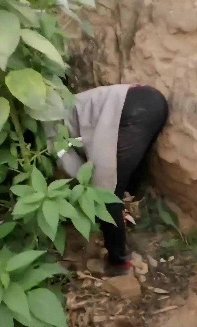 陕西一女子疑因拍亲姑姑偷玉米遭姑父棍杀<strong></p>
<p>usdt官网</strong>,邻居欲报警也遇害