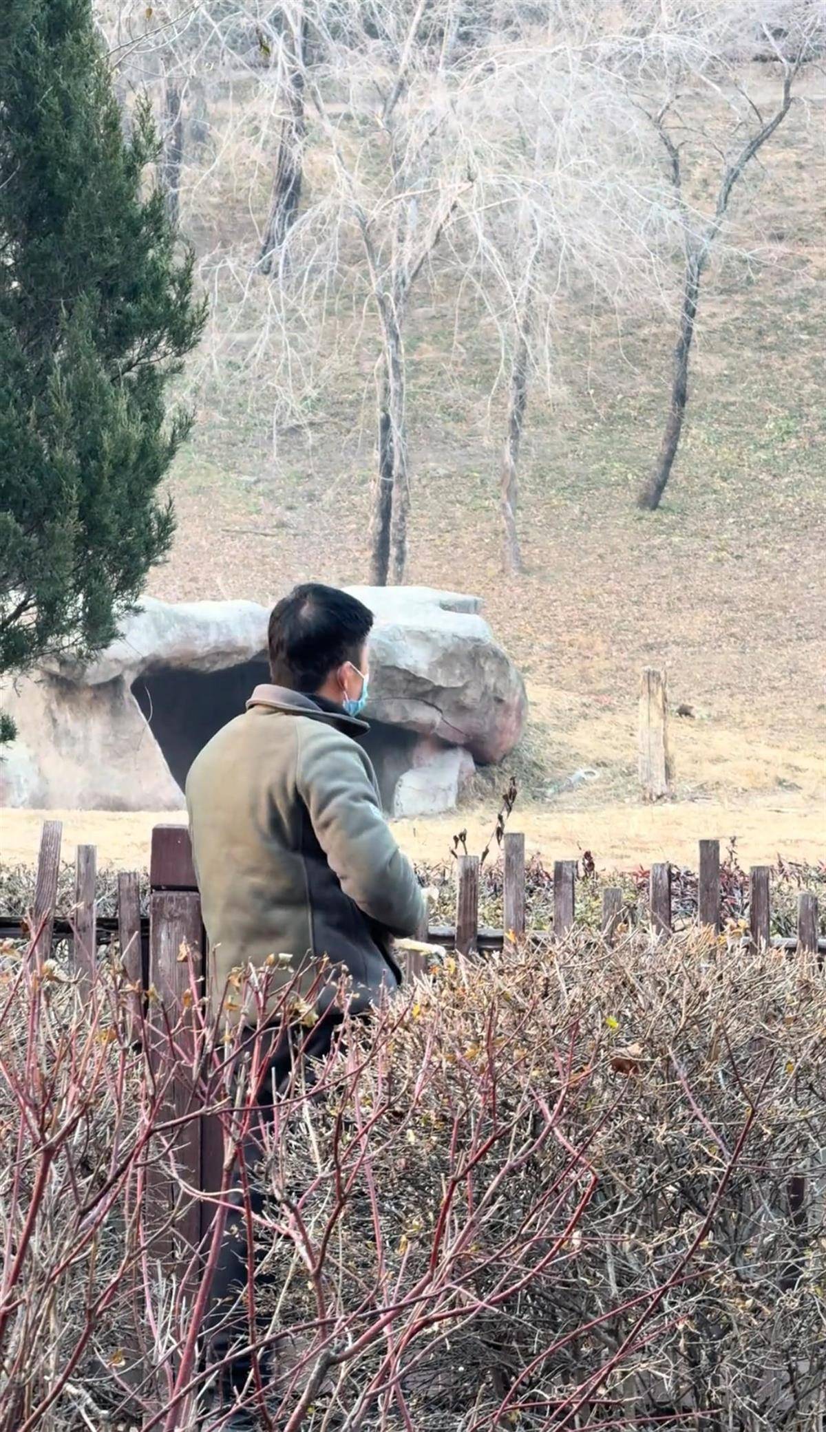 沈阳一男子动物园内用弹弓射老虎<strong></p>
<p>usdt浏览器</strong>，目击者称其“填装了弹丸”，打完后老虎爬起来了，园方：正在核实情况