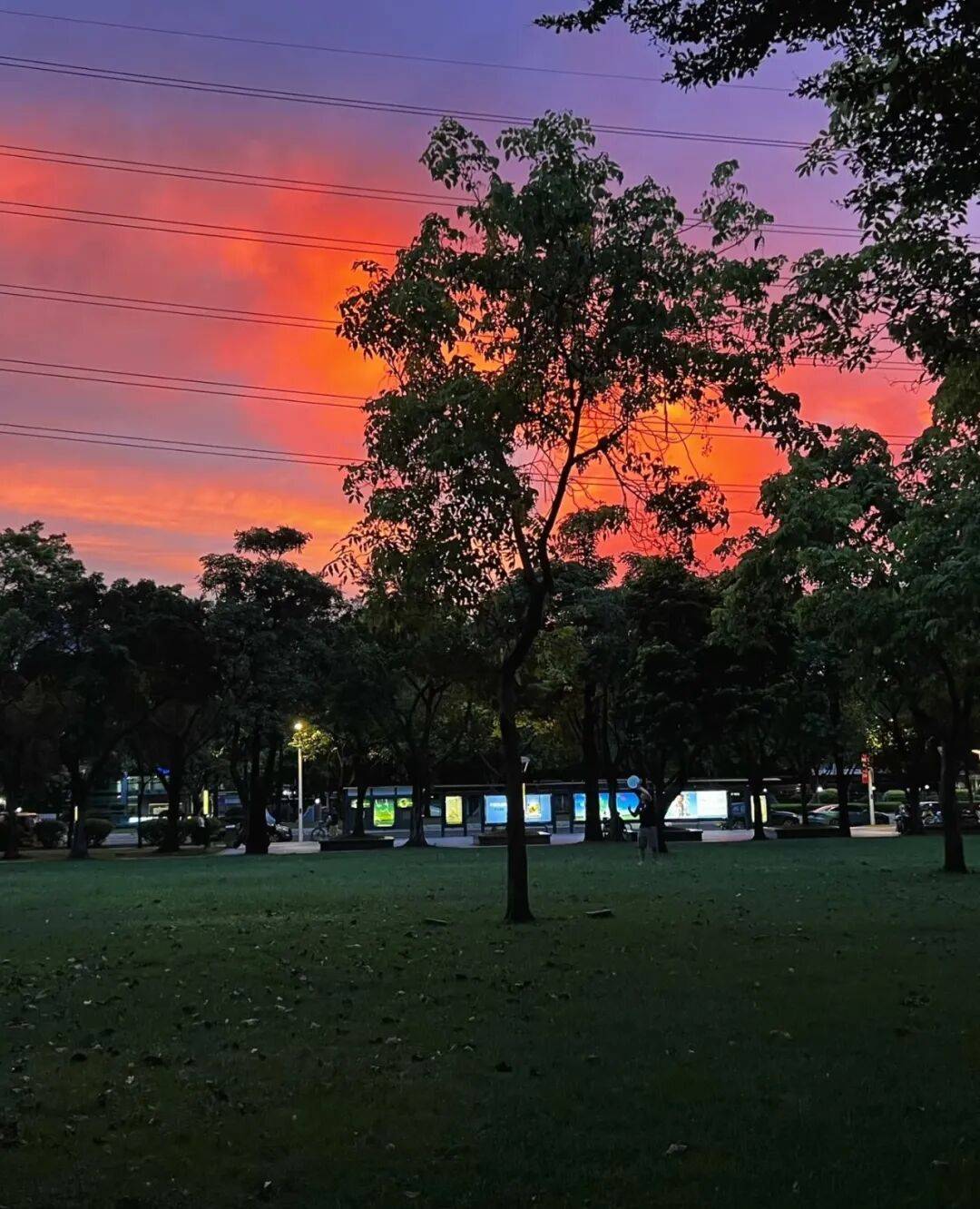 第一批丁克老后<strong></p>
<p>usdt浏览器</strong>,“伴侣能陪一程,但最后都要靠自己”