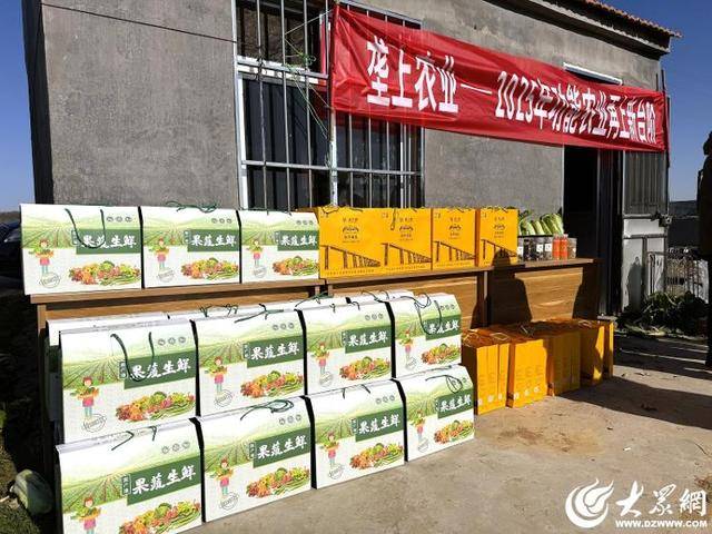 山东青岛：全国首批“板蓝根白菜”喜获丰收<strong></p>
<p>usdt支付</strong>，正式上市！首批10万棵已被上海采购商“包圆”