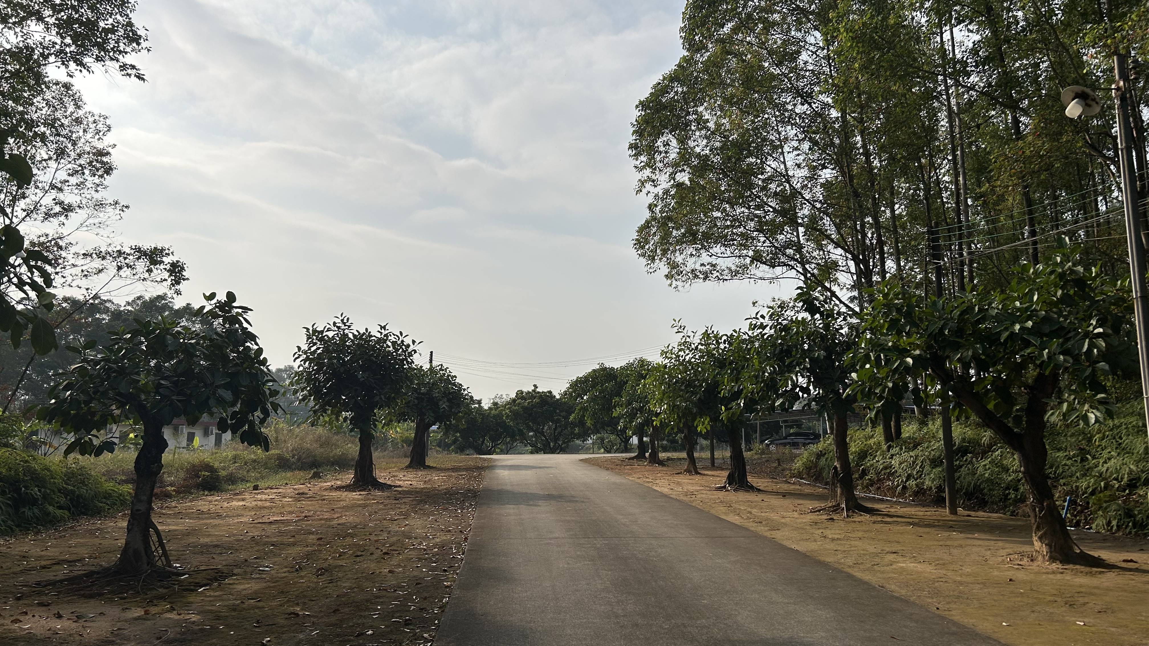 有价无猴！实验猴价格暴涨<strong></p>
<p>usdt怎么充值</strong>，有猴场明年的猴都被订光，繁殖率已跟不上｜调查