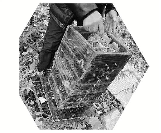 两派蜜蜂打群架<strong></p>
<p>比特儿</strong>，伤亡惨重 民警：别打了，赔钱赔蜂蜜