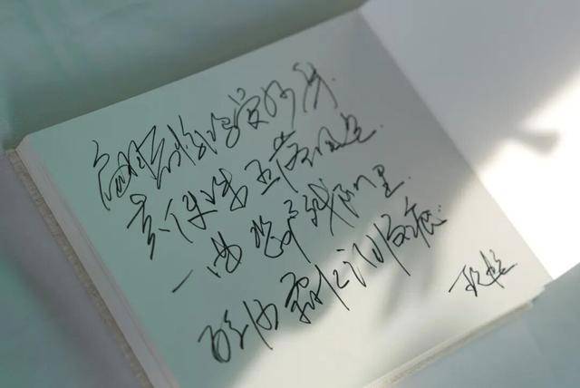 何晴之子追思：妈妈很喜欢雪<strong></p>
<p>比特儿下载</strong>，北京这场雪好像是为她而下