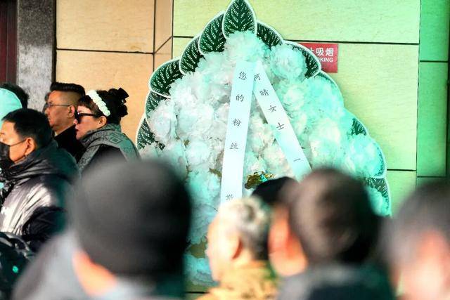 何晴之子追思：妈妈很喜欢雪<strong></p>
<p>比特儿下载</strong>，北京这场雪好像是为她而下