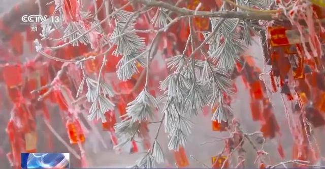 我国已经进入拉尼娜状态<strong></p>
<p>比特儿下载</strong>，专家：可能出现冬春连旱