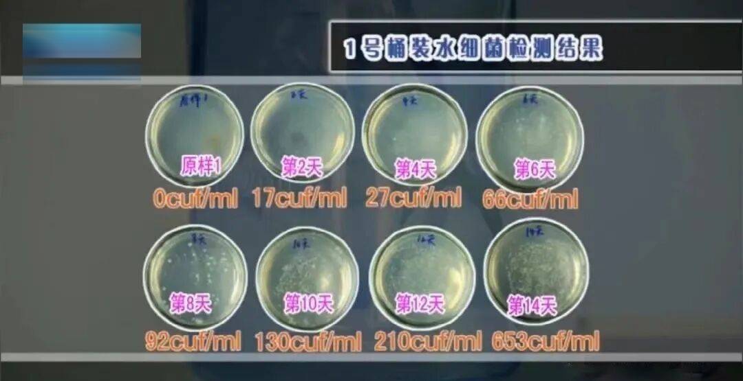 6种东西<strong></p>
<p>比特儿下载</strong>，没过保质期就“坏了”？赶紧看看，别拿全家健康开玩笑