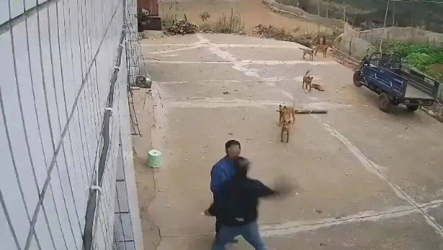 男子家门口吃橘子被邻居一拳打昏<strong></p>
<p>比特儿app</strong>,警方通报:因养狗问题起冲突,均有受伤