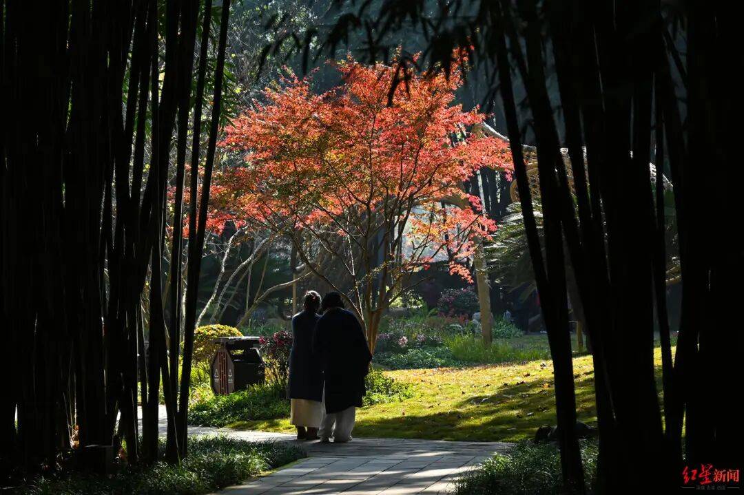 我国已进入拉尼娜状态<strong></p>
<p>比特儿海外</strong>！四川今冬或“前暖后冷”