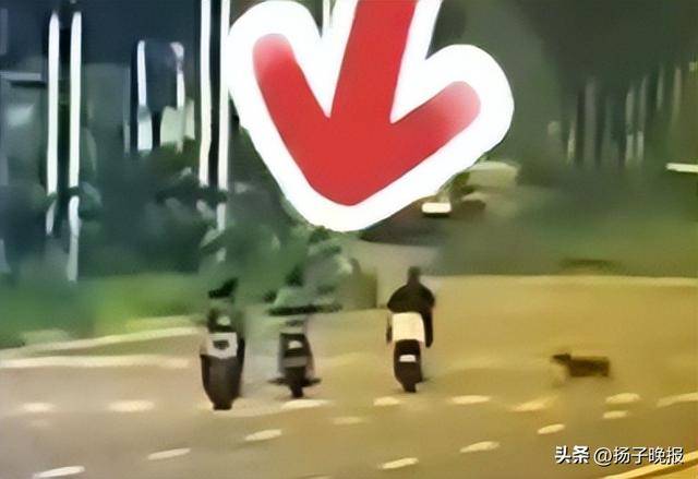 女子骑行被未拴绳大狗撞倒身亡<strong></p>
<p>比特儿海外</strong>，5个月后丈夫突发脑溢血进ICU，家中还有3个孩子两个老人