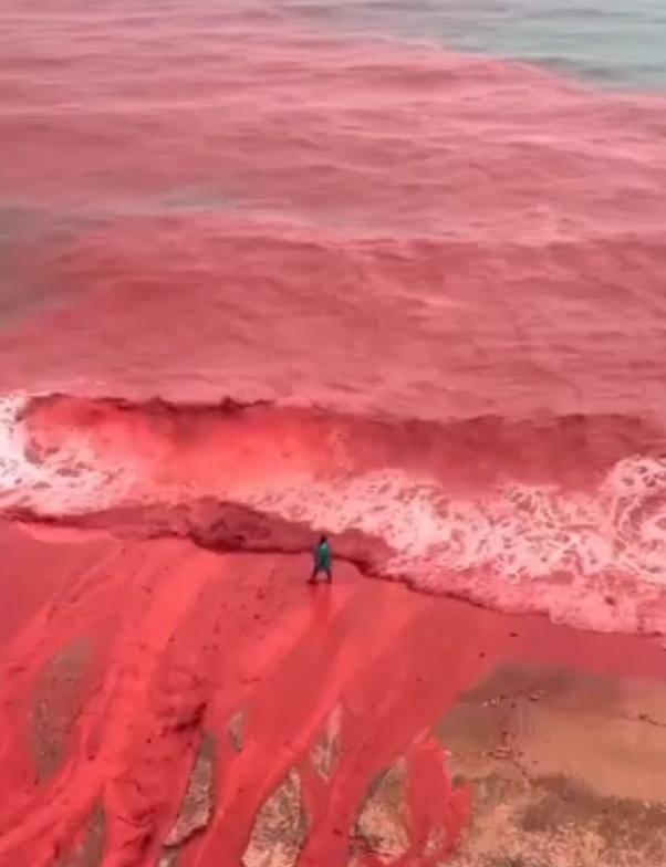 罕见！伊朗霍尔木兹岛遭遇强降雨<strong></p>
<p>比特儿交易平台</strong>，部分海域变成“血色海洋”
