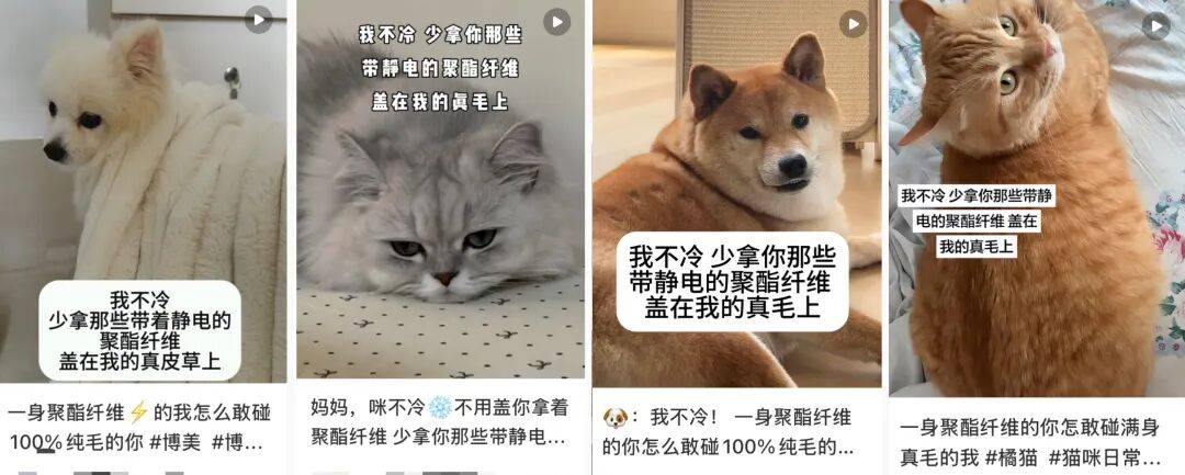 “聚酯纤维衣服是旧塑料瓶做的”<strong></p>
<p>比特儿交易平台</strong>，这今冬最歹毒造谣看得人生气