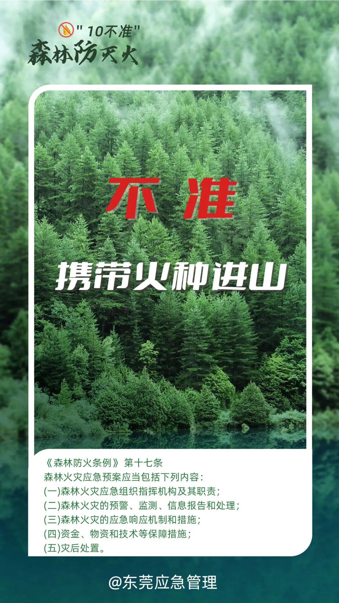 深圳坪山区突发山火<strong></p>
<p>比特儿网站</strong>，最新通报：明火已扑灭，无人员伤亡