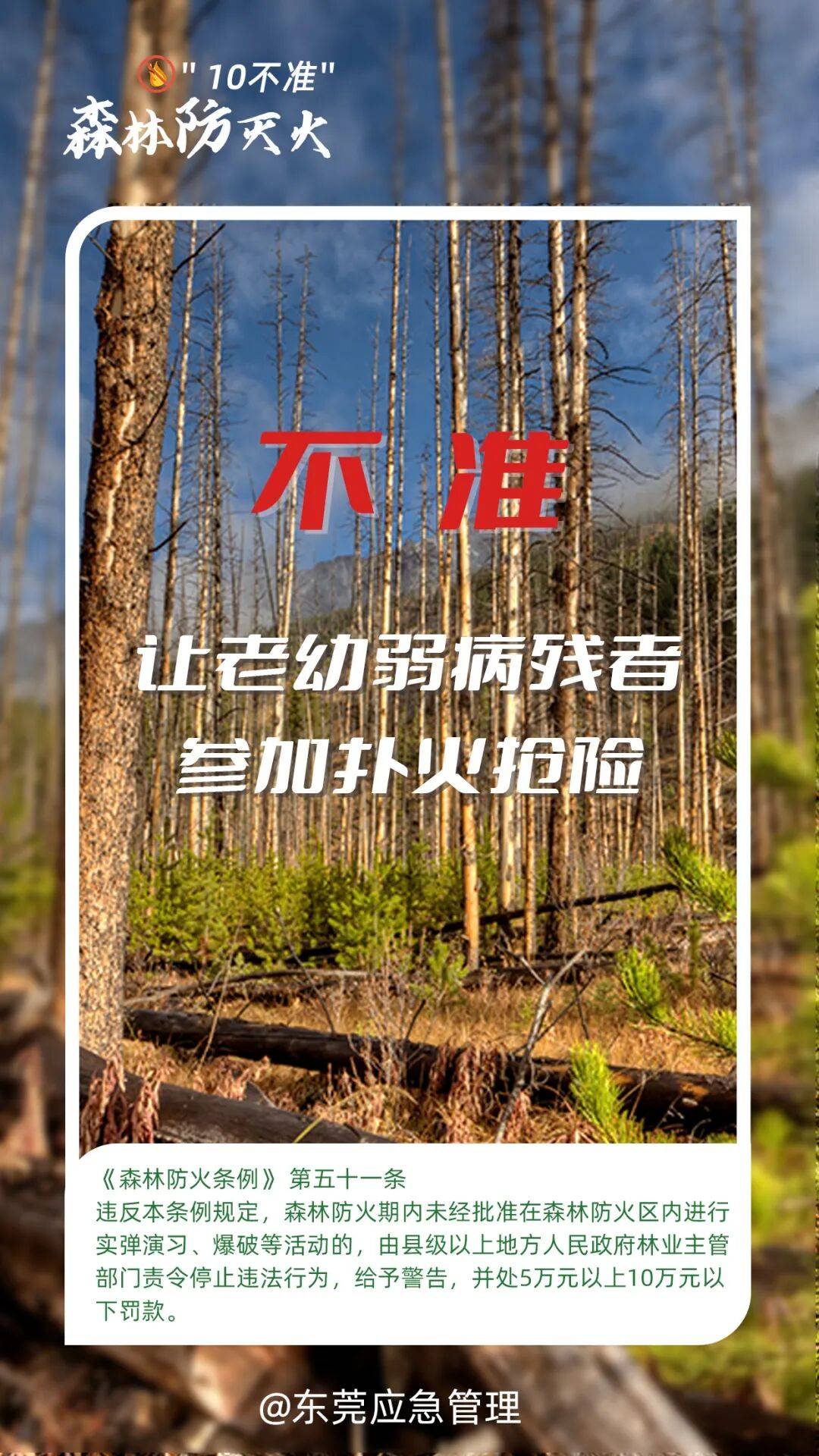 深圳坪山区突发山火<strong></p>
<p>比特儿网站</strong>，最新通报：明火已扑灭，无人员伤亡