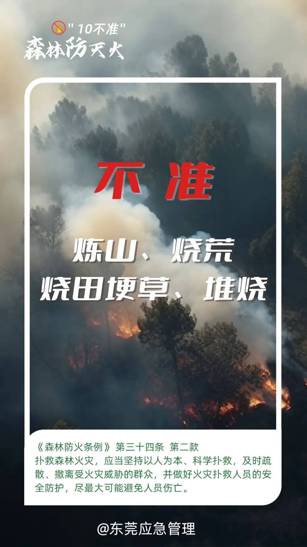 深圳坪山区突发山火<strong></p>
<p>比特儿网站</strong>，最新通报：明火已扑灭，无人员伤亡