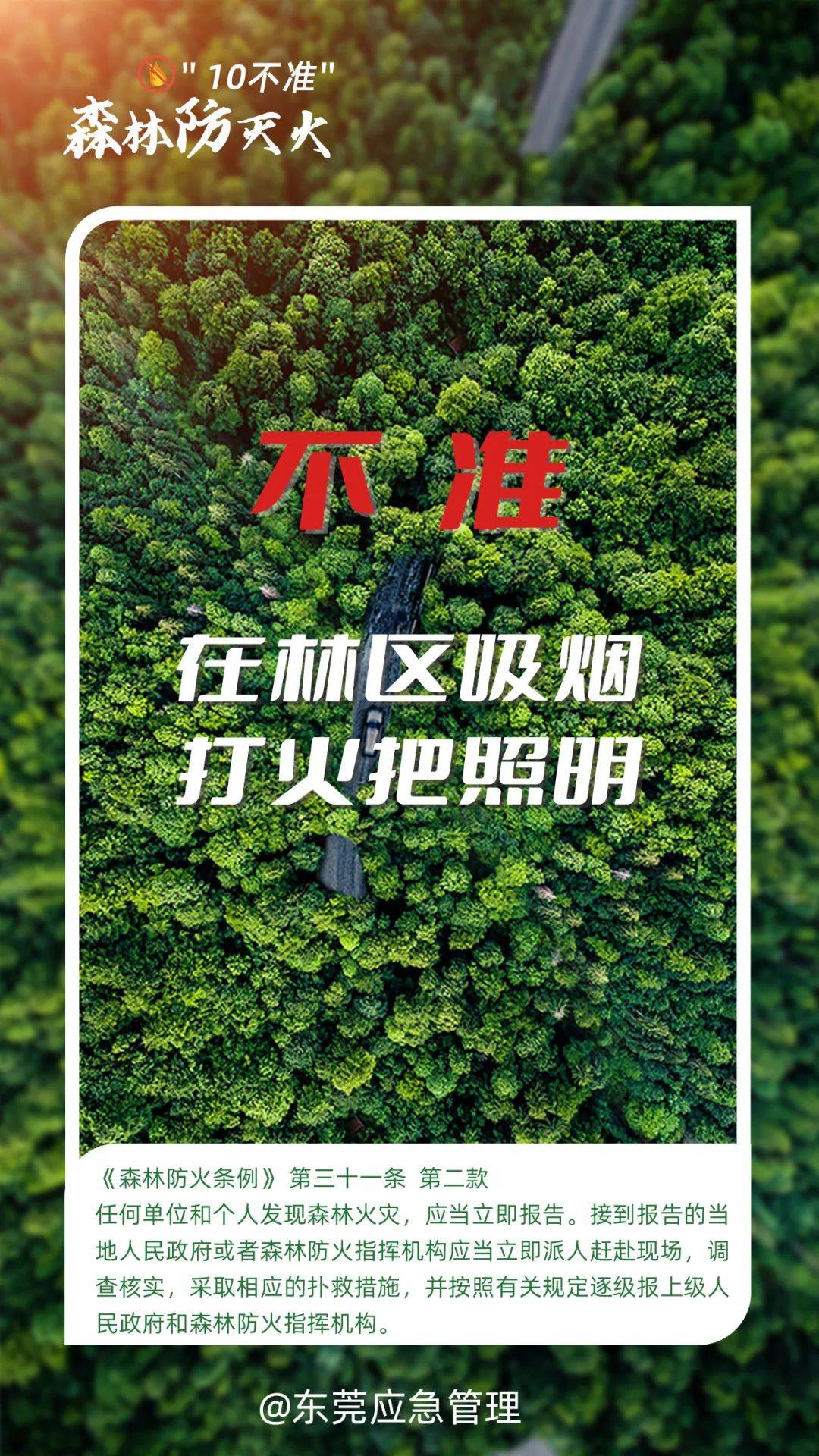 深圳坪山区突发山火<strong></p>
<p>比特儿网站</strong>，最新通报：明火已扑灭，无人员伤亡