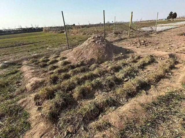 “三姐妹给父亲上坟被炸身亡案”家属最新发声：直播时2次遭死亡威胁，“请帮我保住最后一个妹妹”；警方已立案侦查